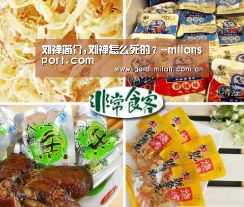 刘禅简介,刘禅怎么死的?-milansport.com(图4) 米兰体育app