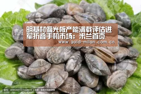 明基材偏光板产能满载评估进军折叠手机市场:米兰首页(图1) 明基材偏光板产能满载评估进军折叠手机市场:米兰首页(图1)