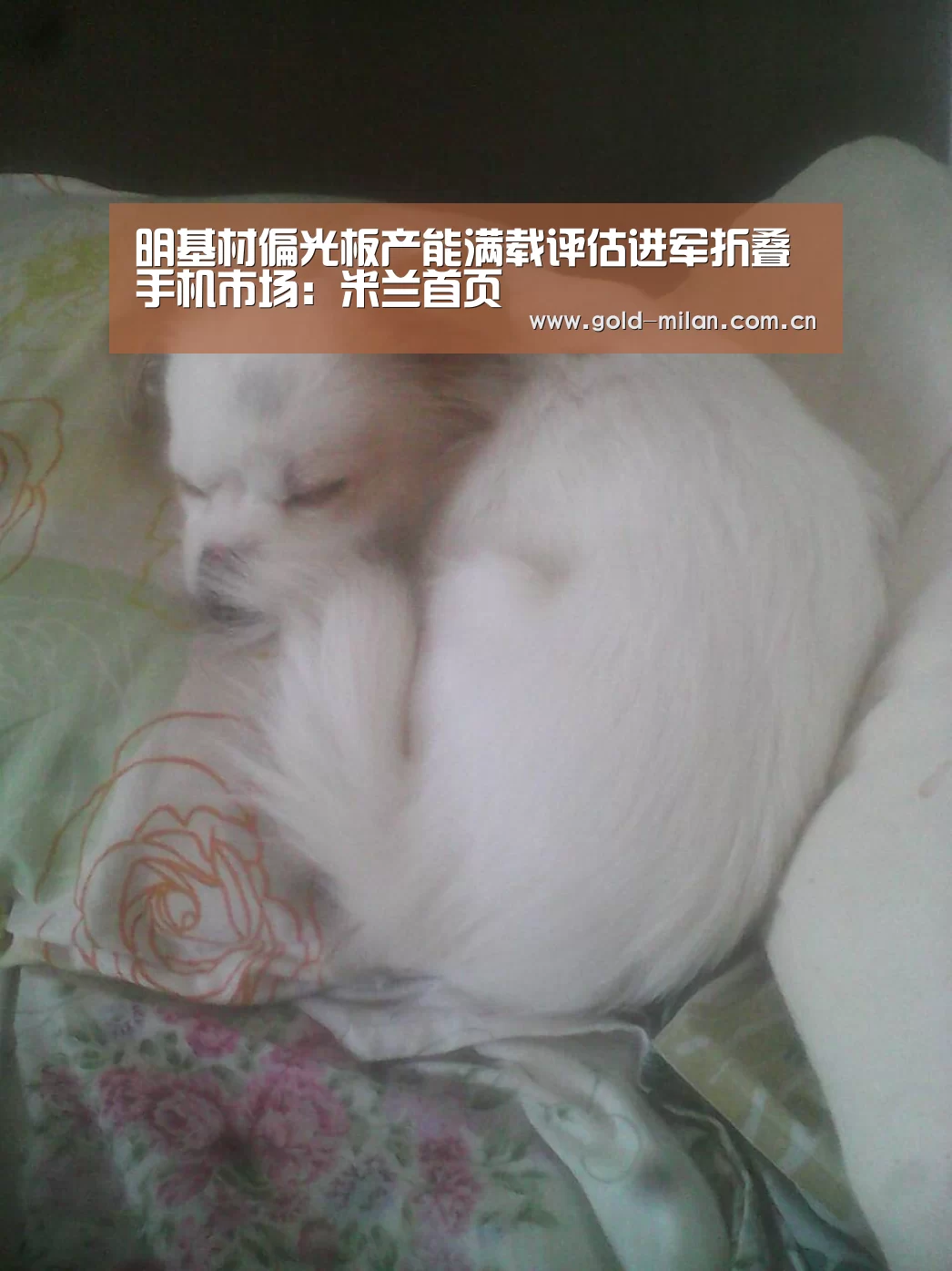 明基材偏光板产能满载评估进军折叠手机市场:米兰首页(图4) 米兰体育网页版