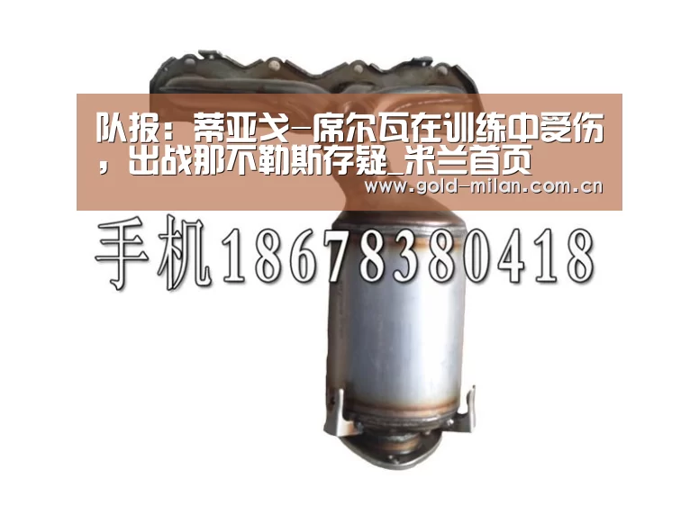 队报:蒂亚戈-席尔瓦在训练中受伤,出战那不勒斯存疑_米兰首页(图2) 米兰体育app
