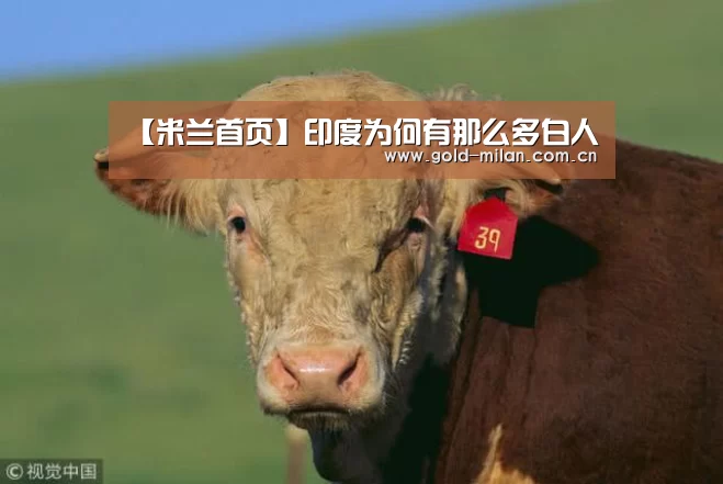 米兰首页